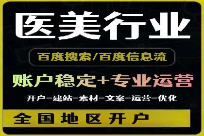 企业SEM服务实战案例解析